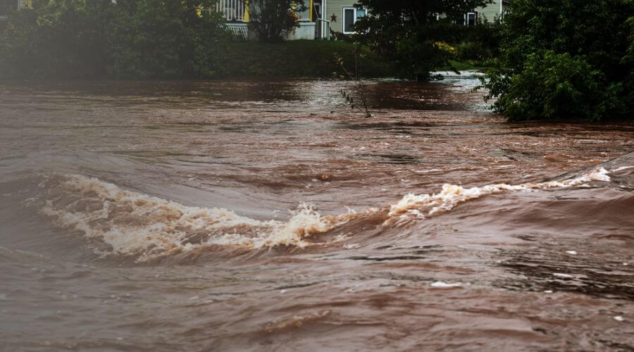 Why choose Integral Surge for water damage restoration in Cambridge